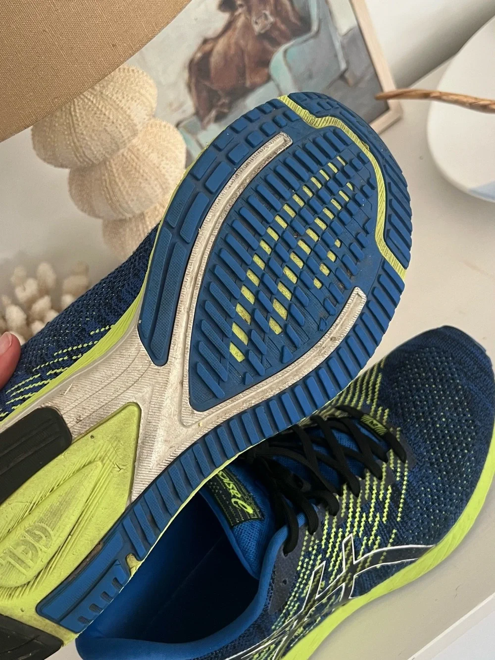 ASICS Gel-DS Trainer 24  Running Sneakers